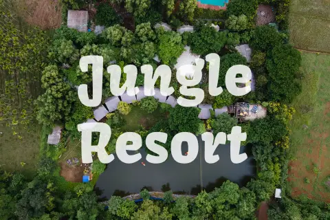 best dandeli jungle resort