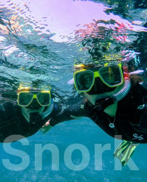 Snorkeling In Murdeshwar