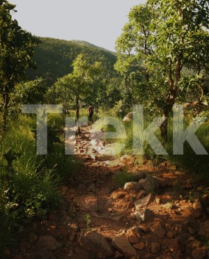 Trekking In Murdeshwar